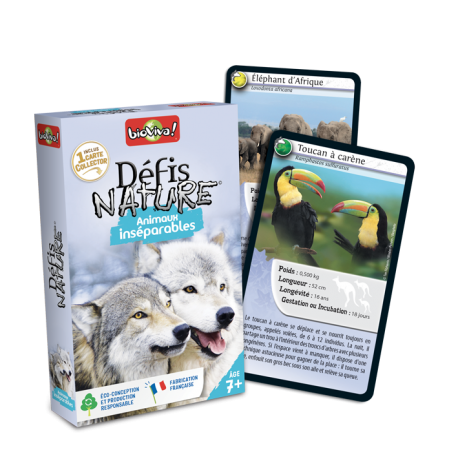 Défis Nature Animaux Inséparables