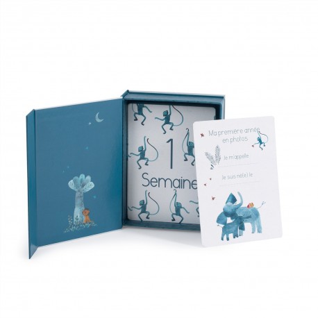 Cartes Mes 12 Premiers Mois Sous mon Baobab