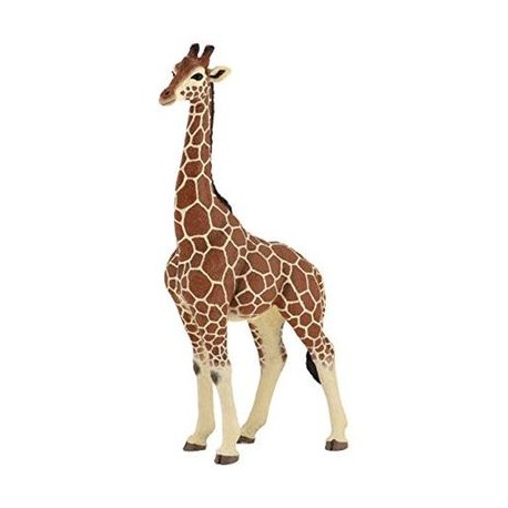 Girafe mâle Papo