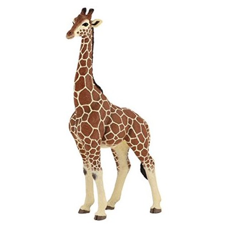 Girafe mâle Papo