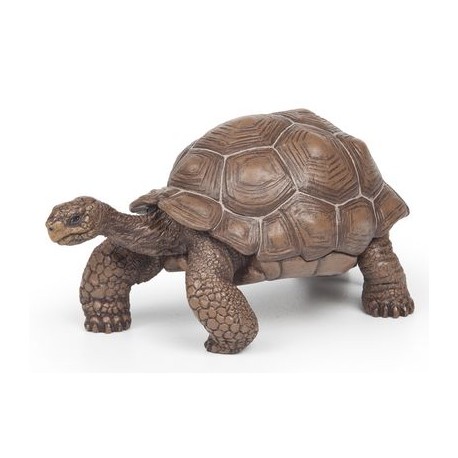 tortue de galapagos Papo