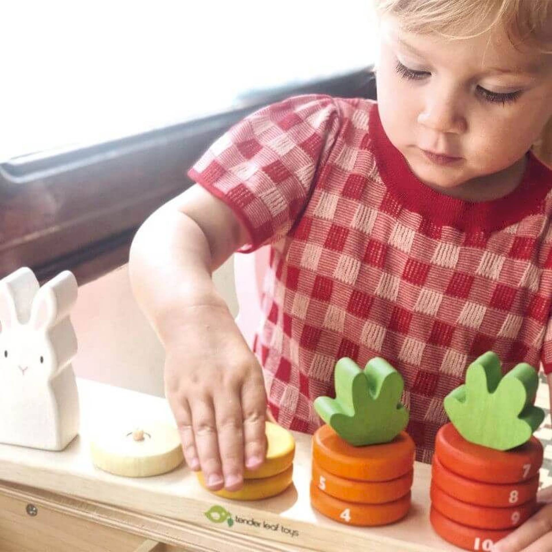 Jeu de comptage des carottes en bois