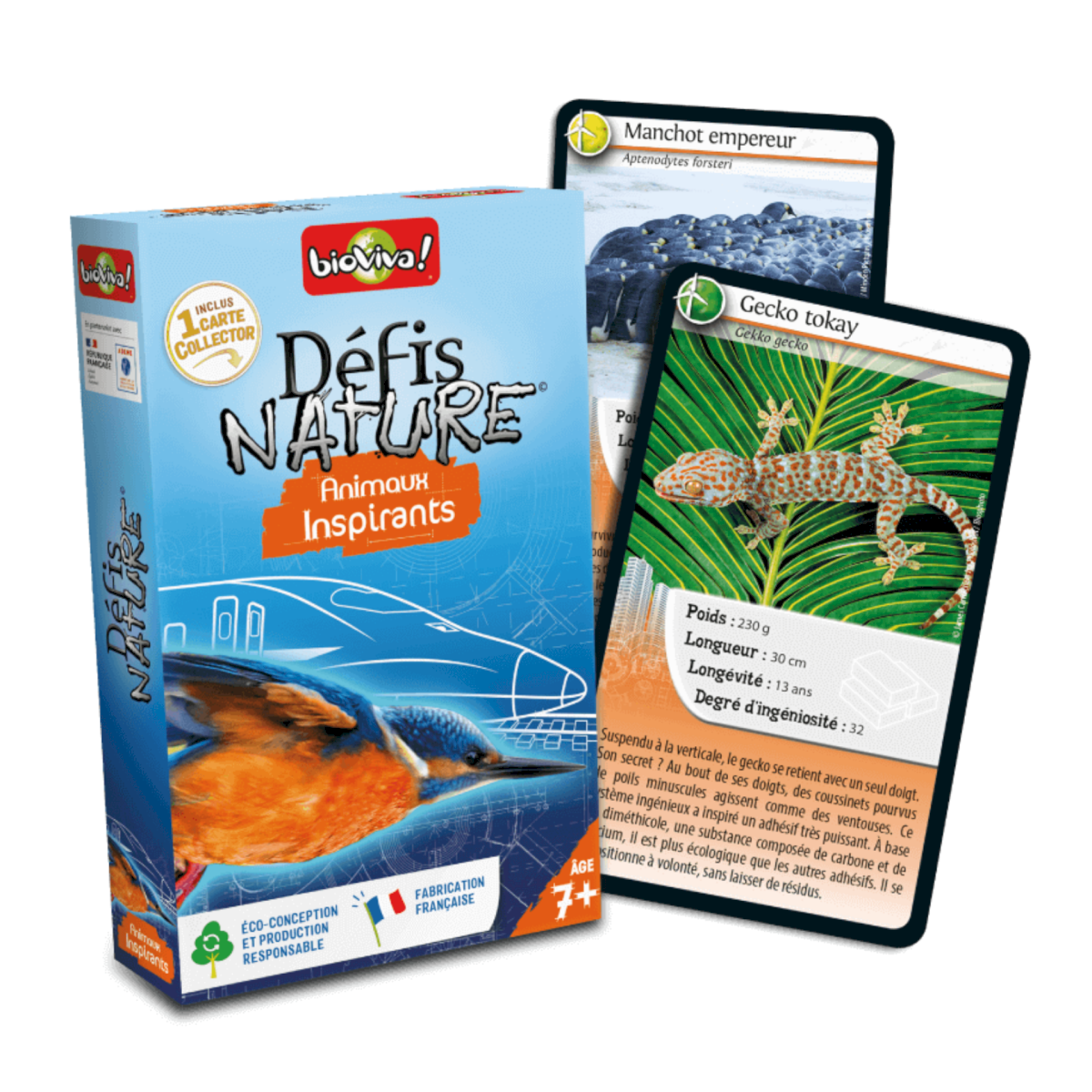 Défis Nature Animaux inspirants