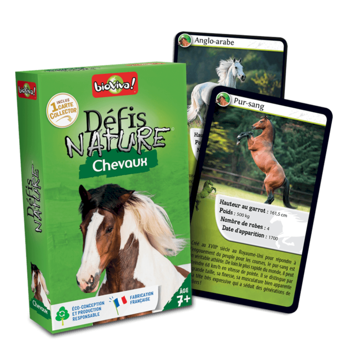 Défis Nature Chevaux