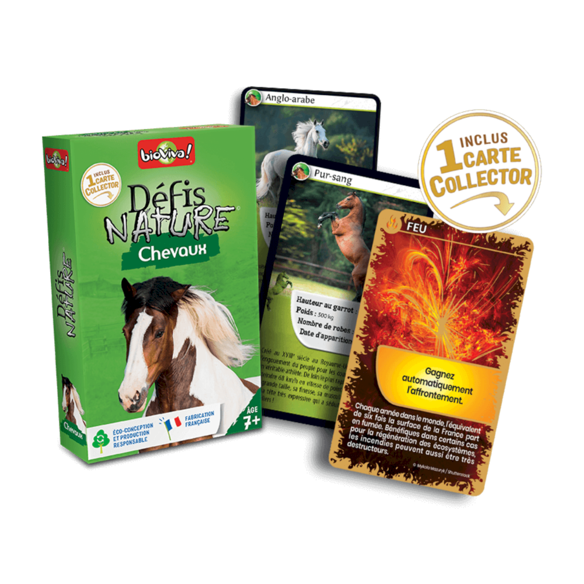 Défis Nature Chevaux