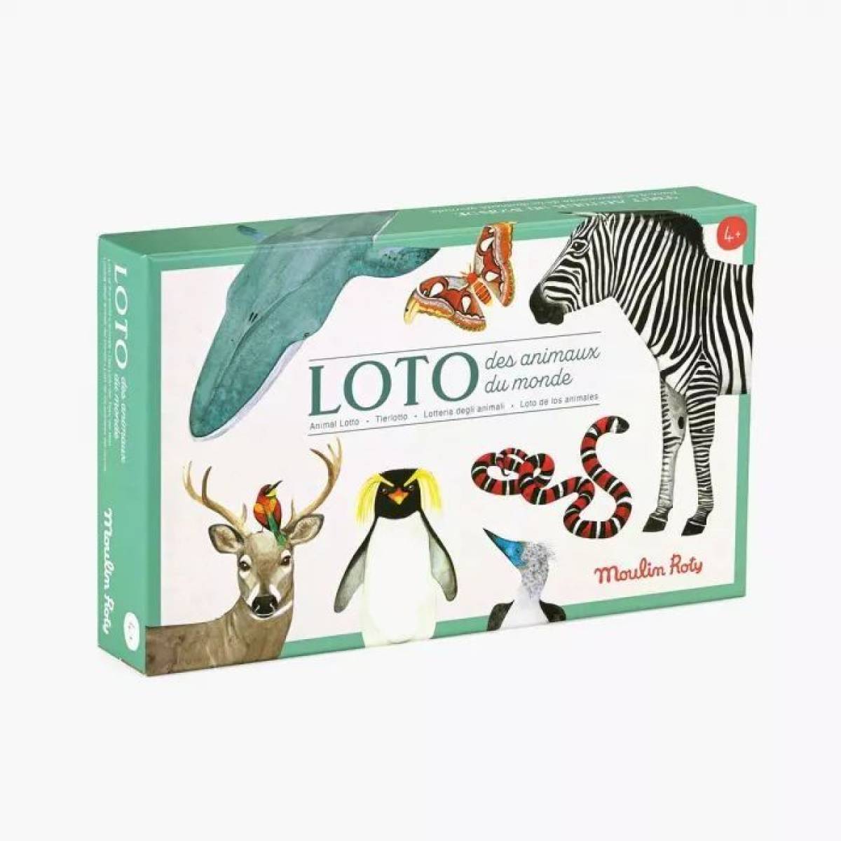 Loto des animaux - Tout autour du monde