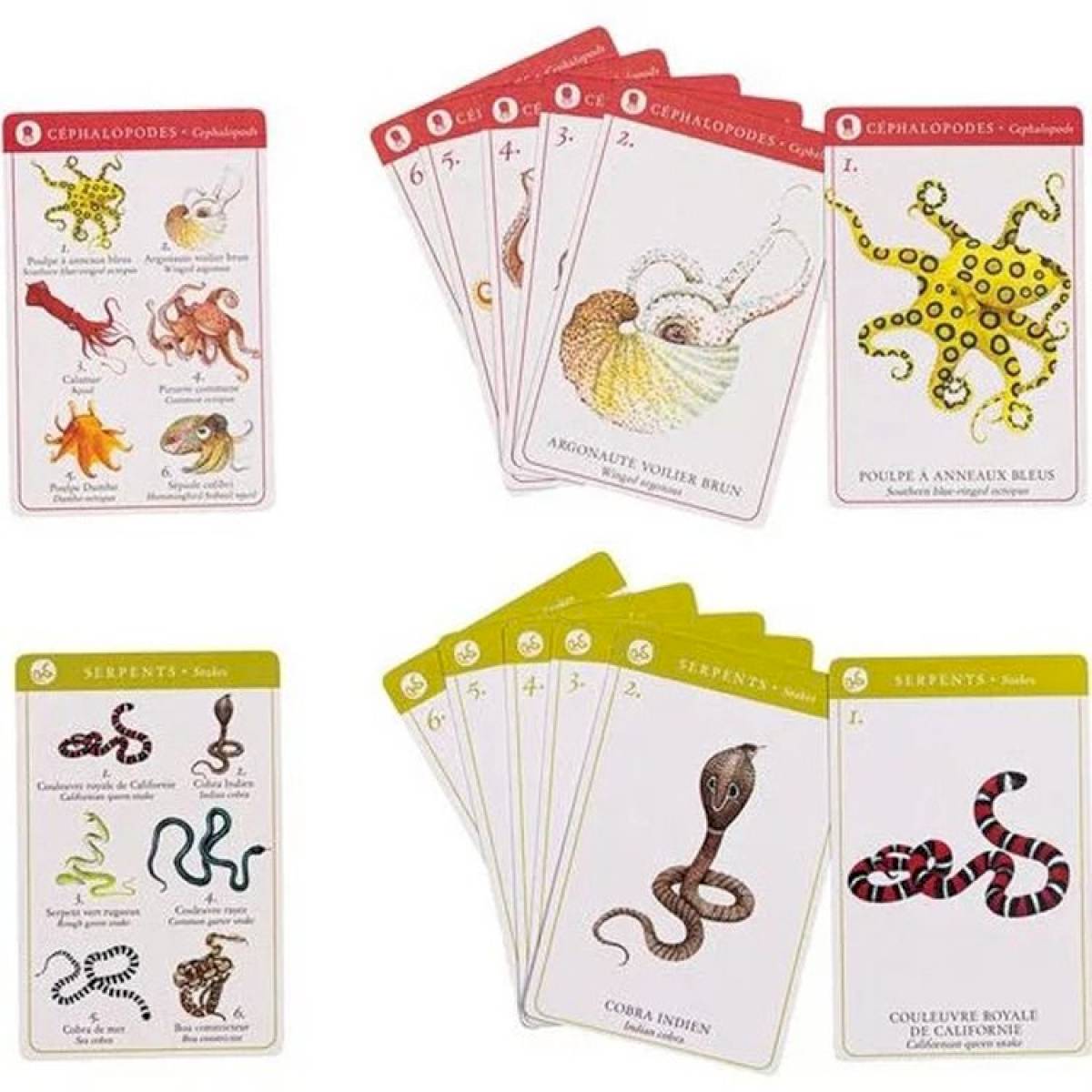 Jeu de 7 familles des espèces