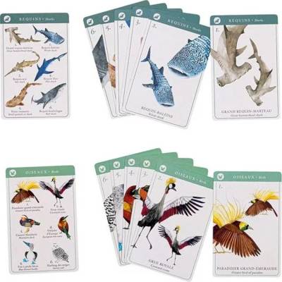 Jeu de 7 familles des espèces
