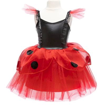 Robe coccinelle avec coiffe 3-4 ans(dupliqué)