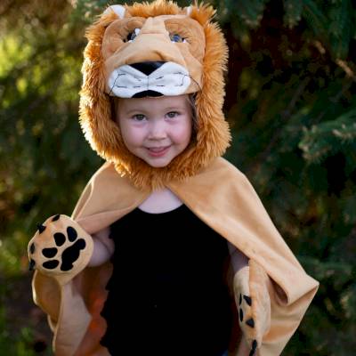 Cape de Lion Livre de Contes 2-3 ans