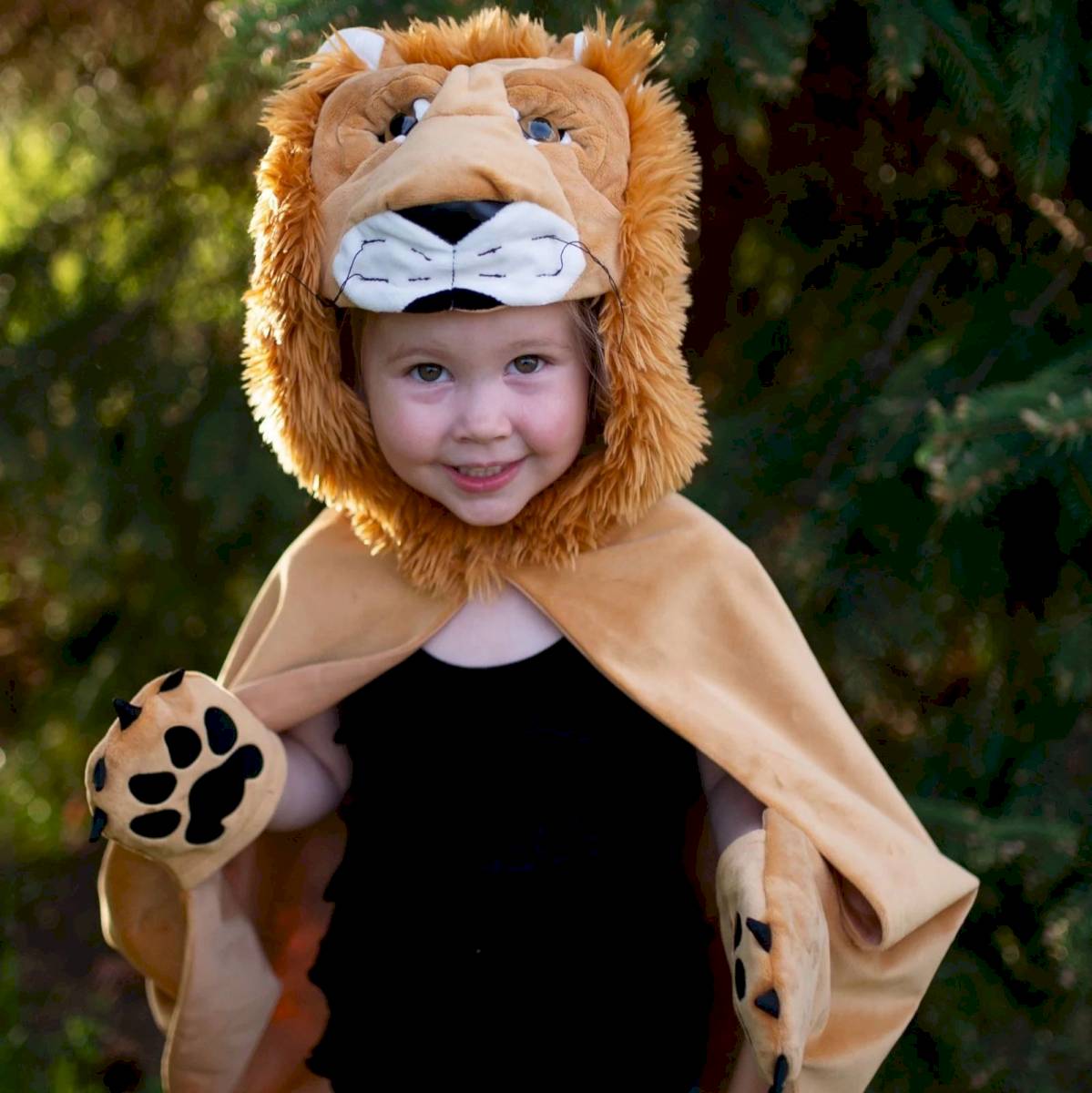 Cape de Lion Livre de Contes 4-6 ans