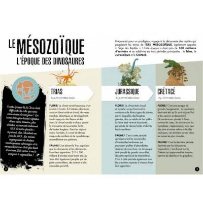 Livre et petite maquette tricératops 3D