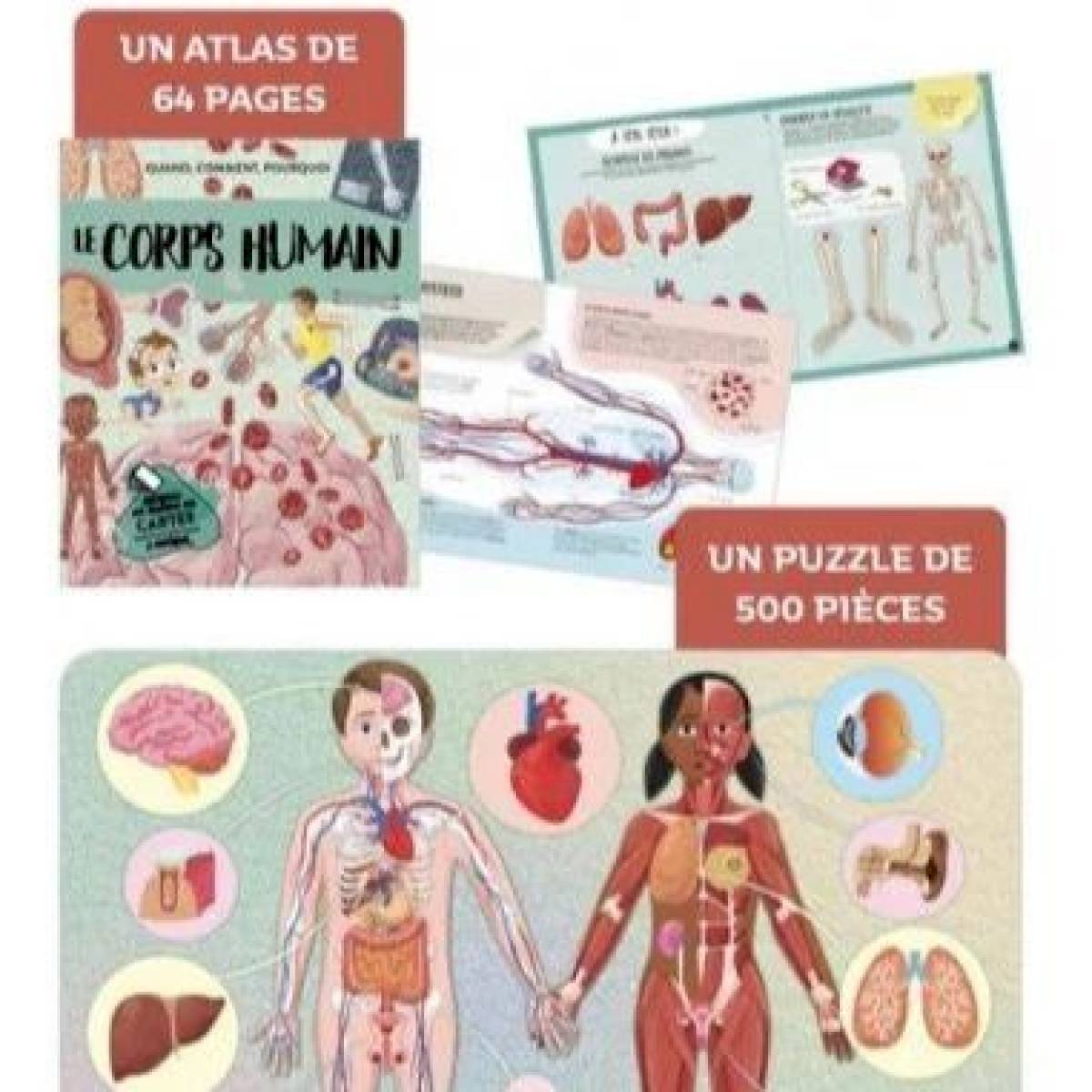 Puzzle Sassi 200 pièces Le Corps Humain + livre