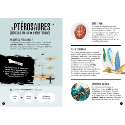 Livre et petite maquette ptéranodon 3D
