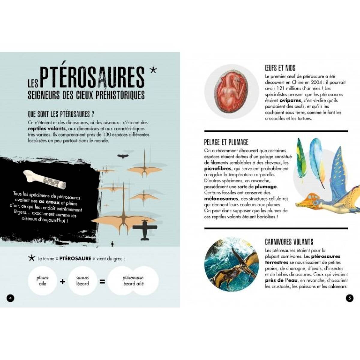 Livre et petite maquette ptéranodon 3D