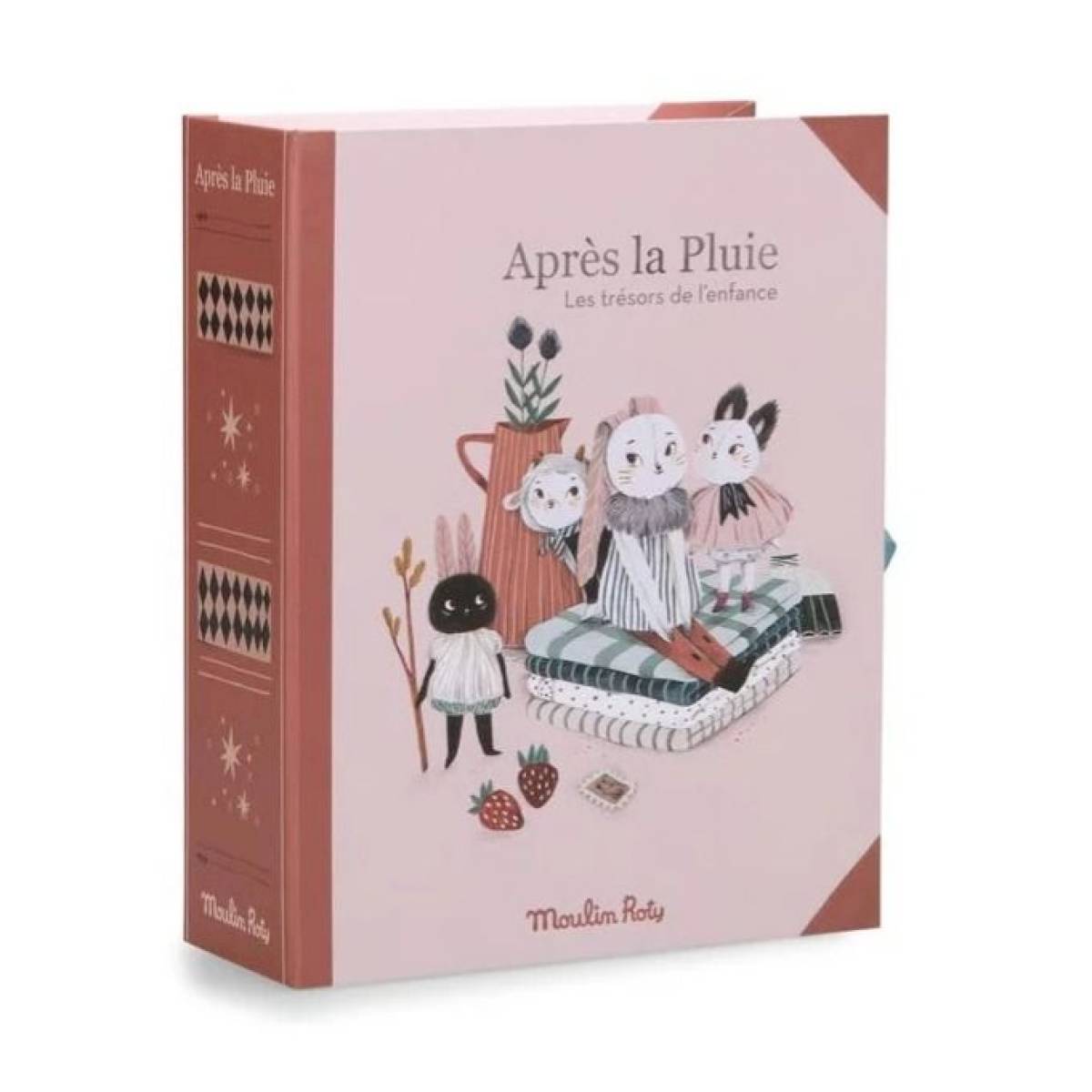 Coffret Naissance Après la pluie