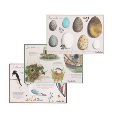 Coffret Découverte des oiseaux Le jardin du moulin