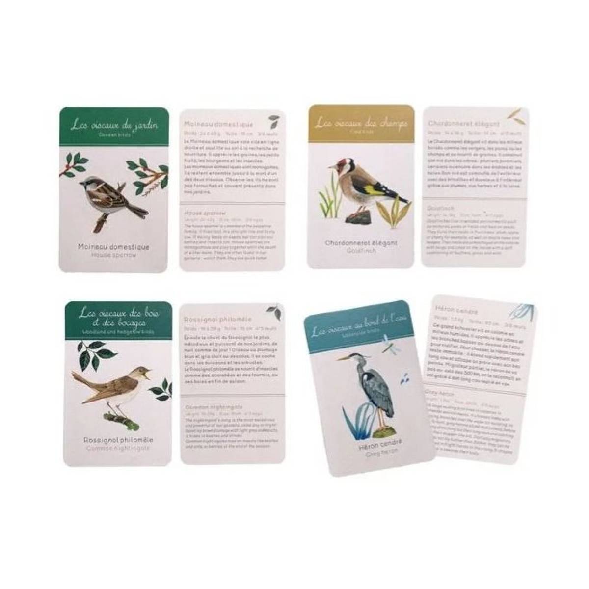 Coffret Découverte des oiseaux Le jardin du moulin