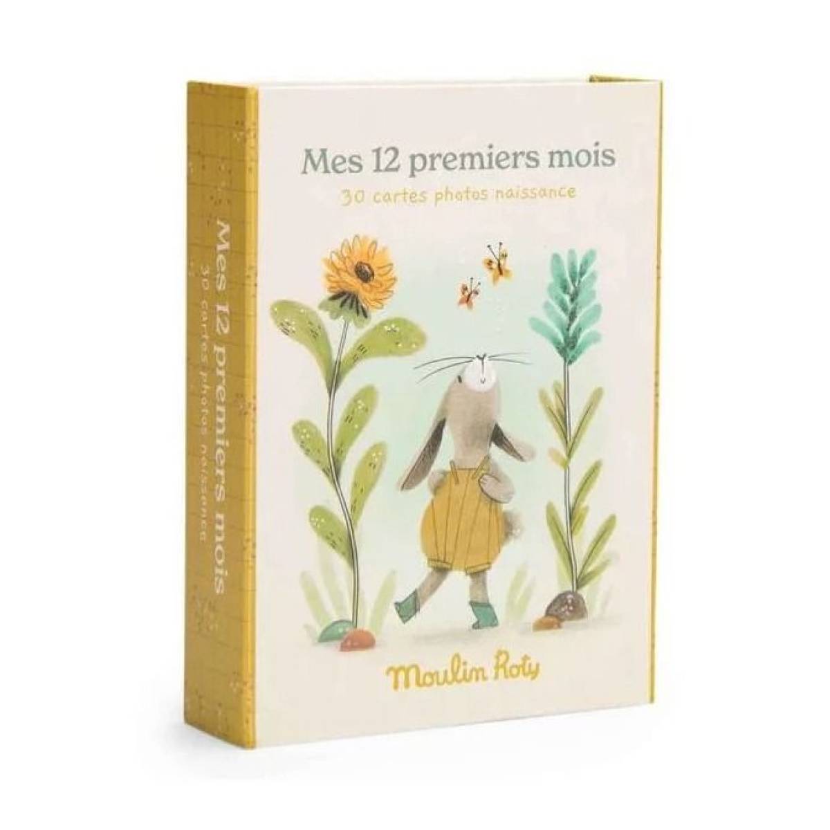 Cartes Mes 12 premiers mois