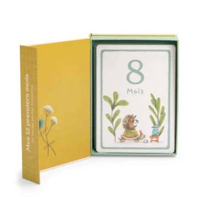 Cartes Mes 12 premiers mois