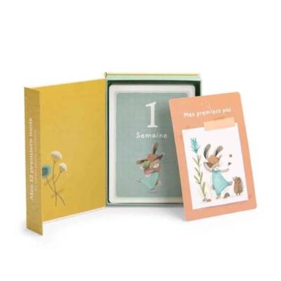 Cartes Mes 12 premiers mois