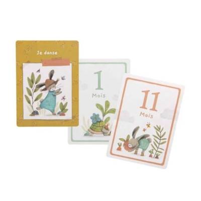 Cartes Mes 12 premiers mois