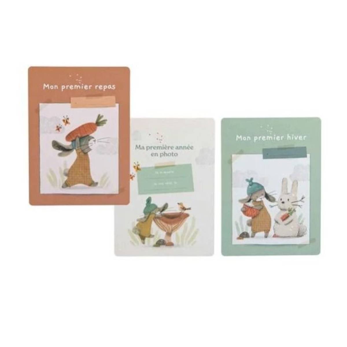 Cartes Mes 12 premiers mois