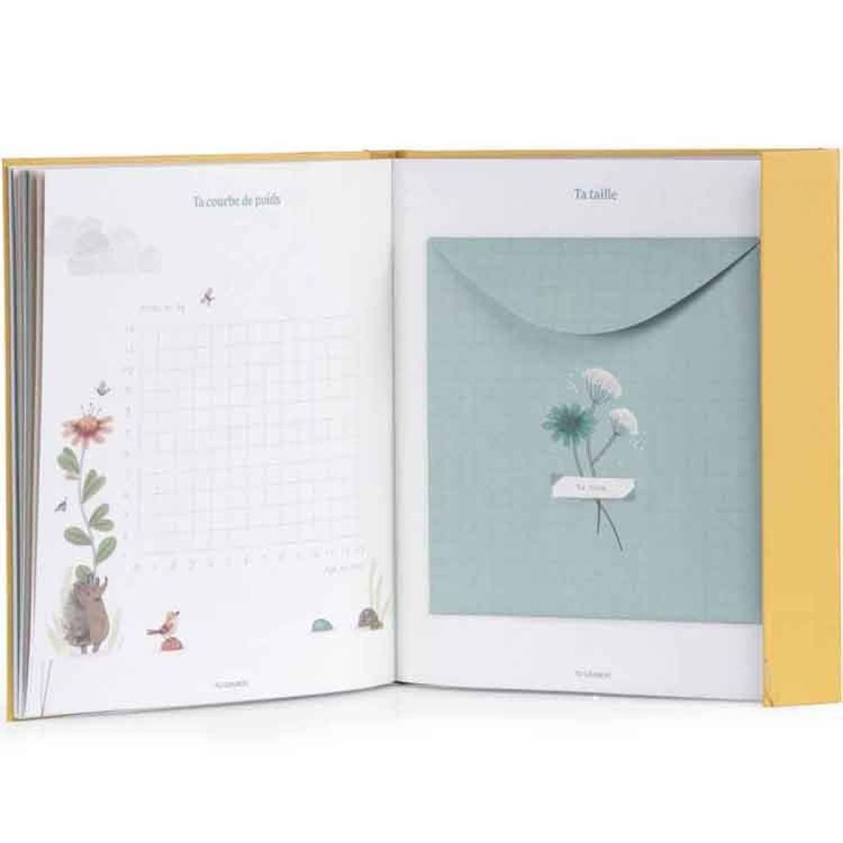 Livre de naissance Trois Petits Lapins