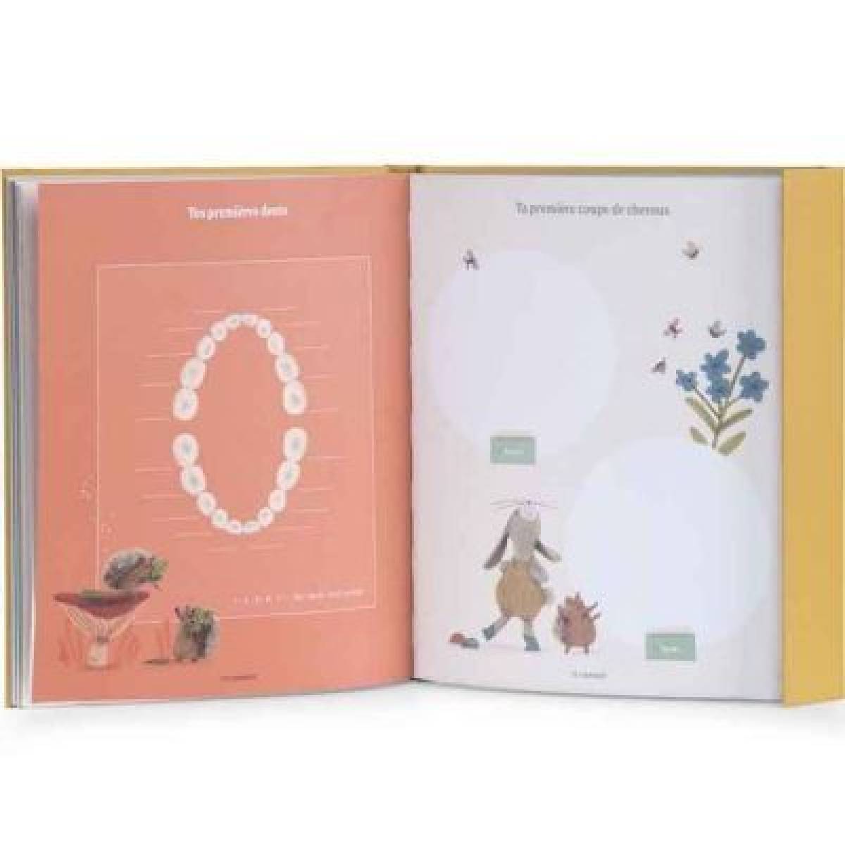 Livre de naissance Trois Petits Lapins
