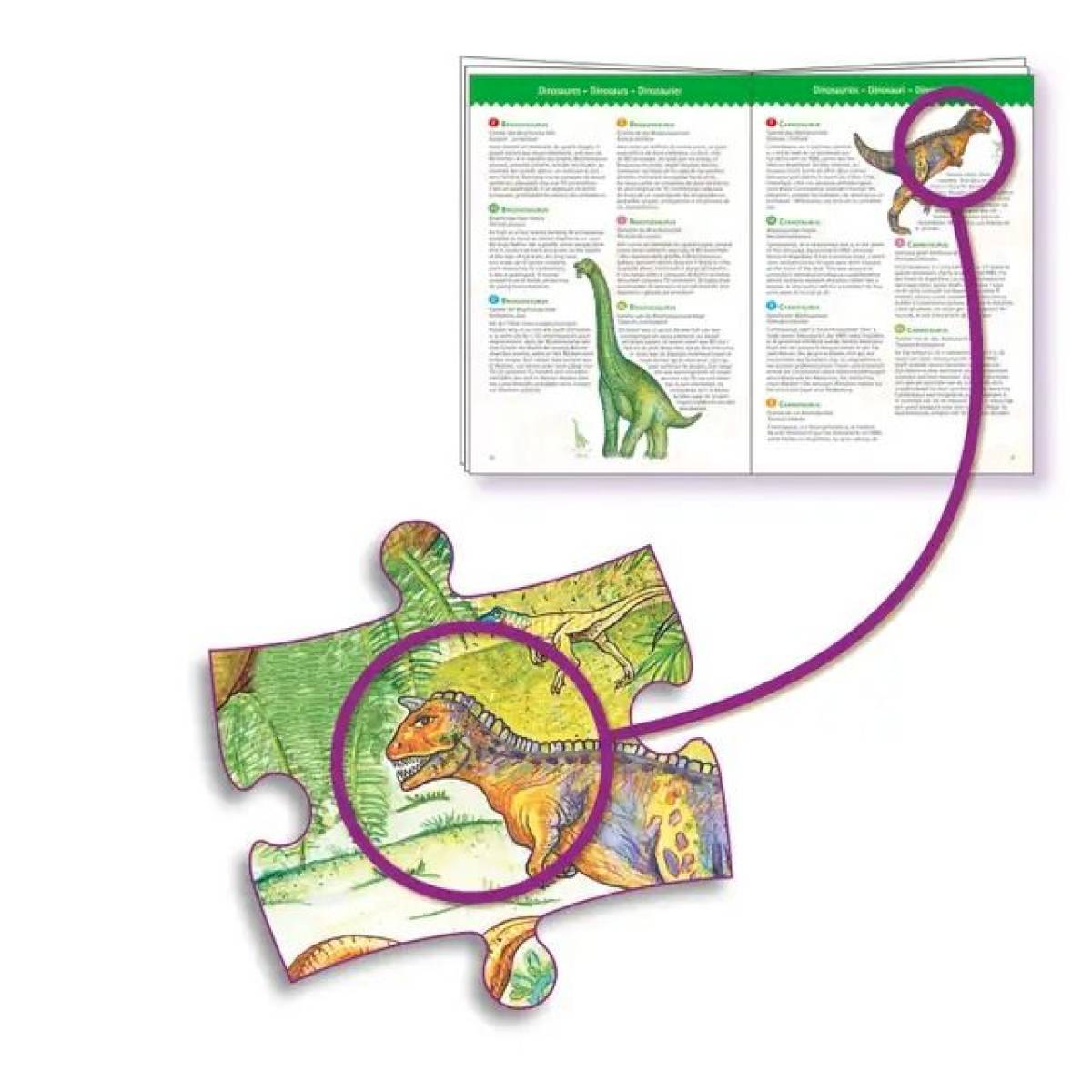 Puzzle d'observation Dinosaures et livret
