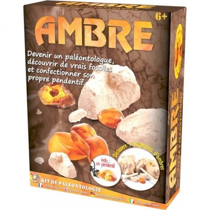 Kit Paléo : Ambre