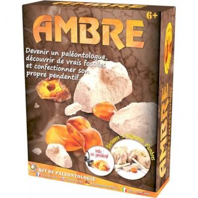 Kit Paléo : L'Ambre