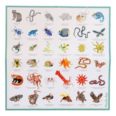 Memory des animaux - Tout autour du monde