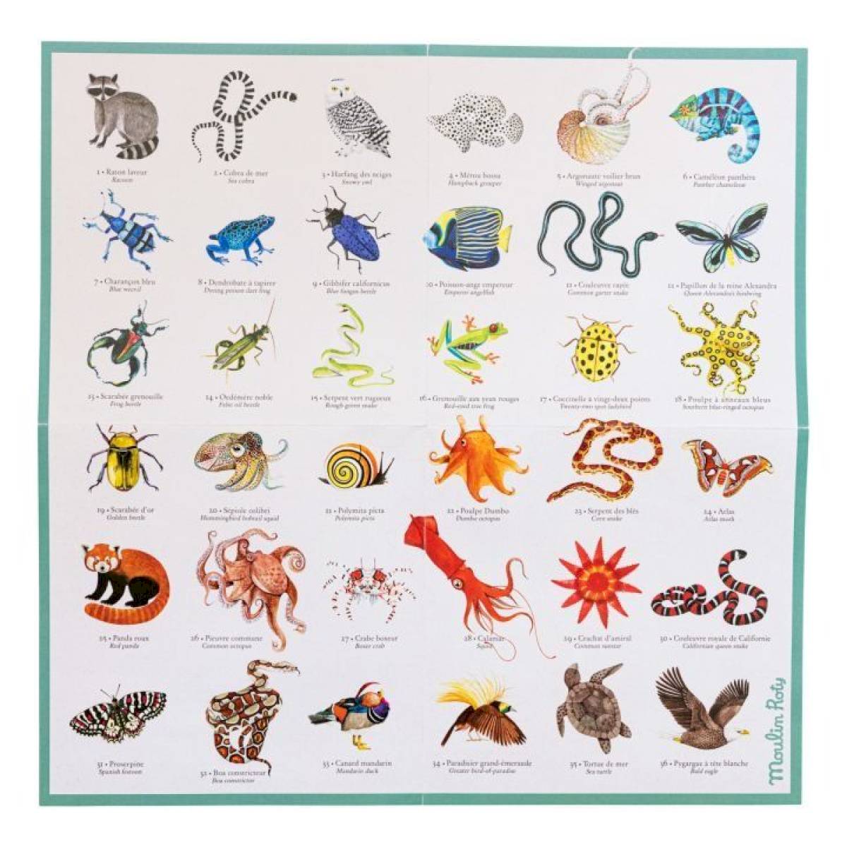 Memory des animaux - Tout autour du monde