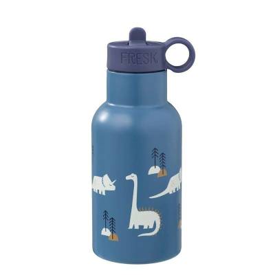 Gourde isotherme 350 ml dinosaure