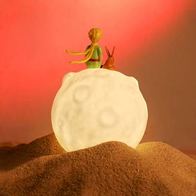 Veilleuse tactile Le Petit Prince