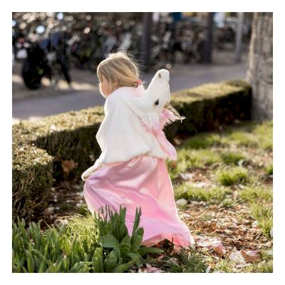 Déguisement Cape d'Ours 2-3 ans(dupliqué)