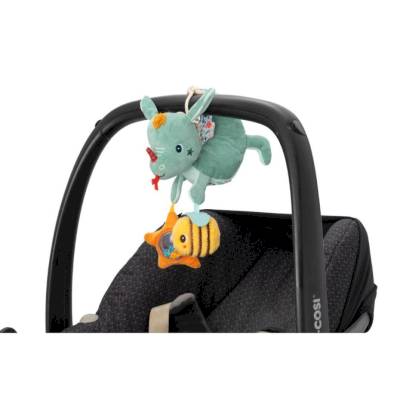 Joe acti nomade