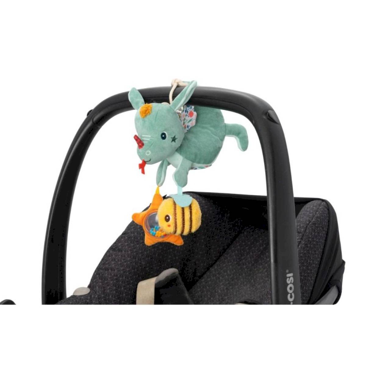 Joe acti nomade