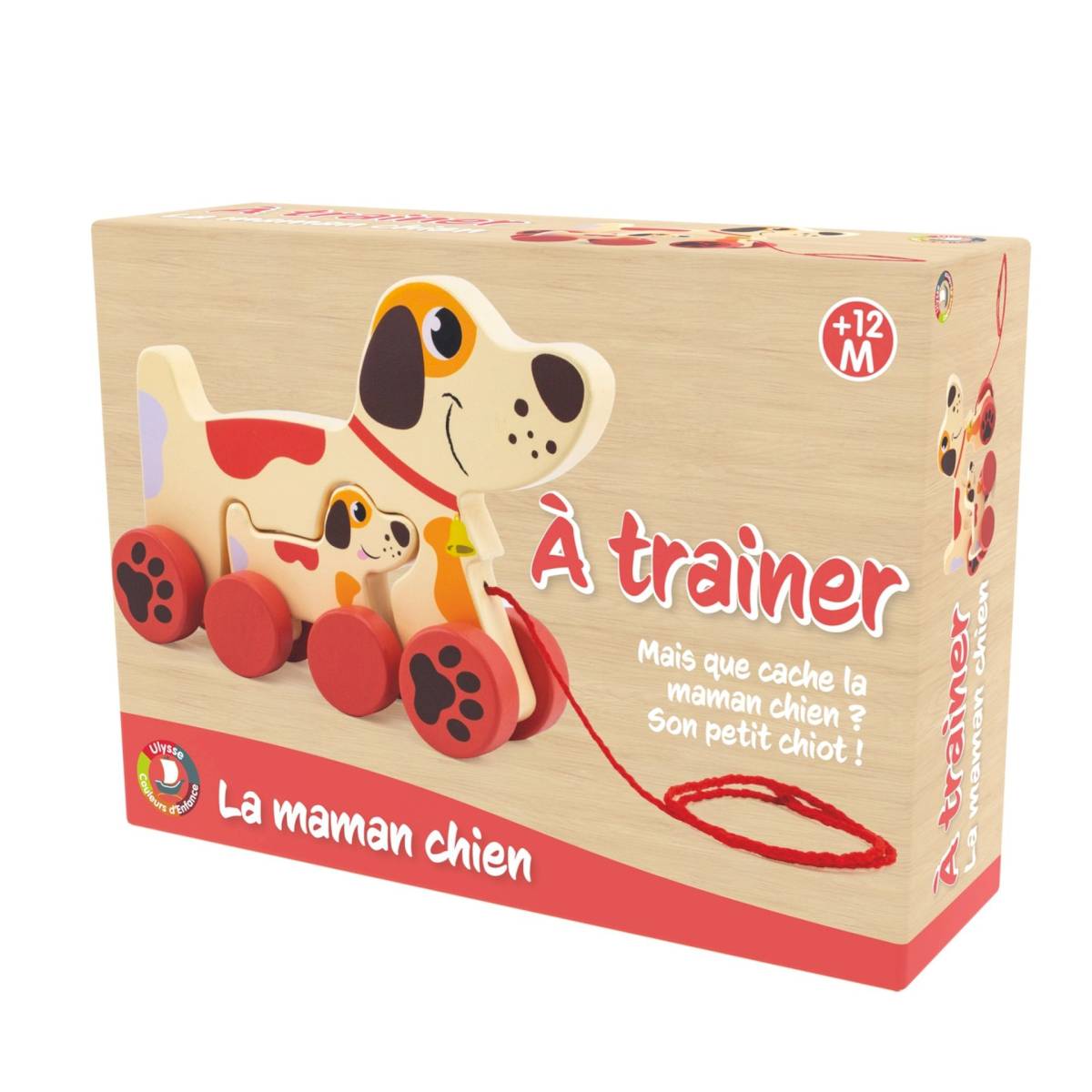 Maman chien à trainer