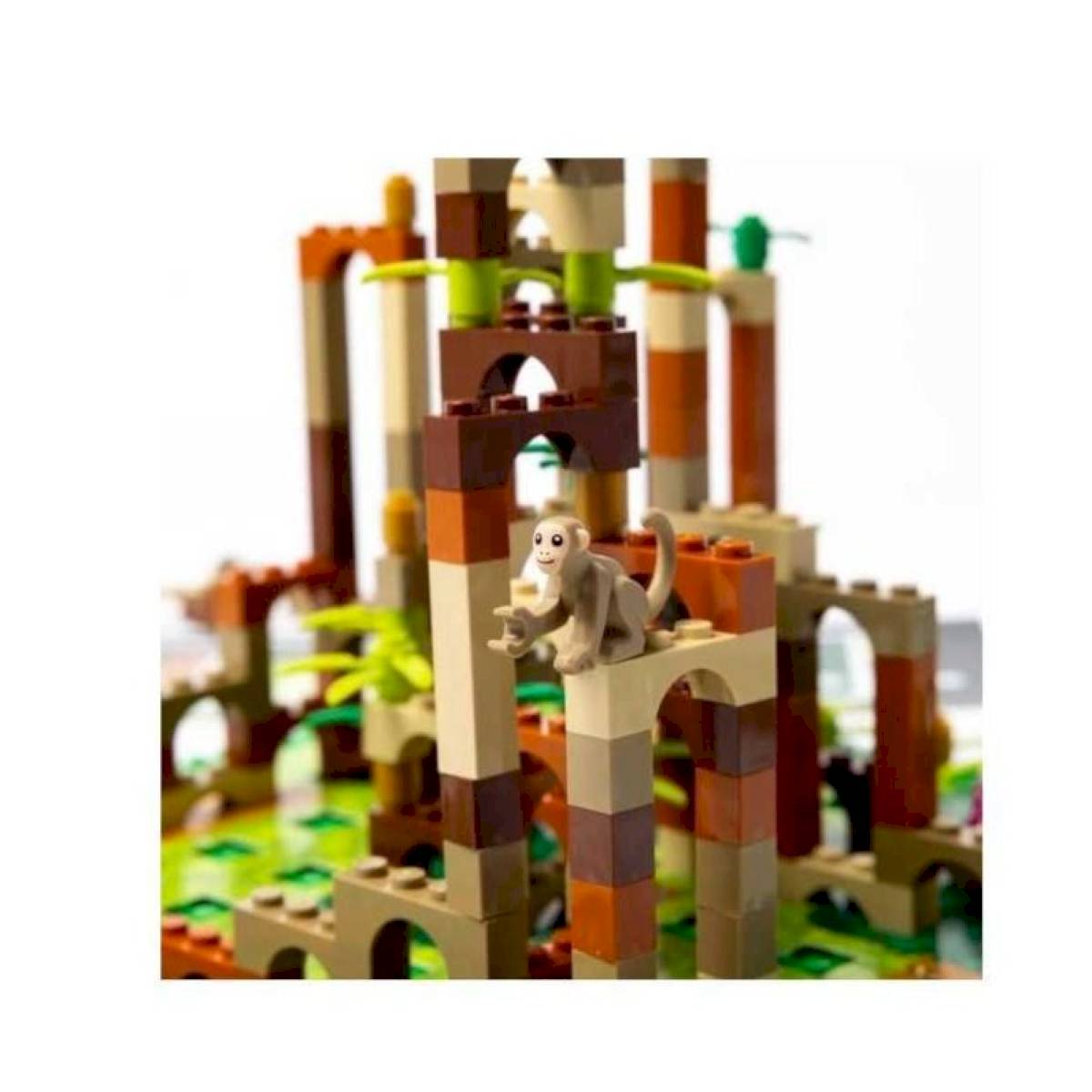 Monkey Palace
