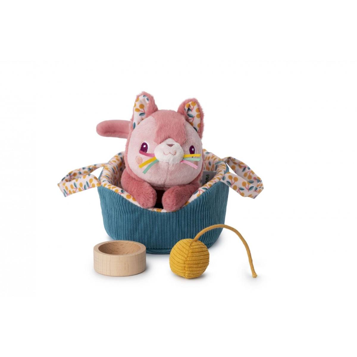 Jeanne le chat et son panier