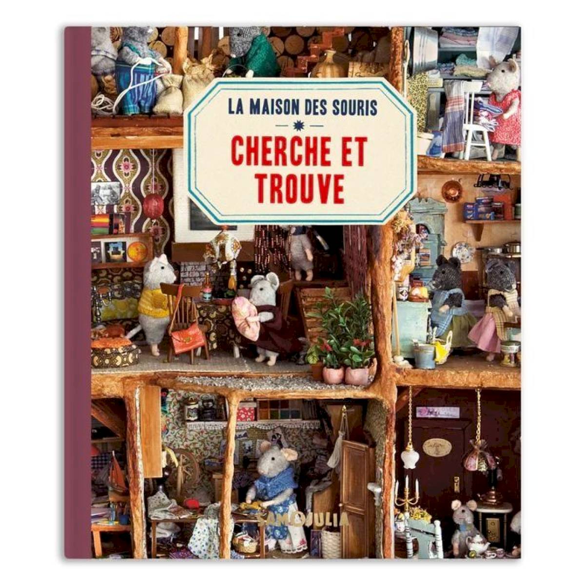 Grand livre cherche et trouve - Sam et Julia
