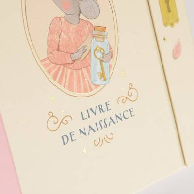 Livre de naissance La petite école de danse