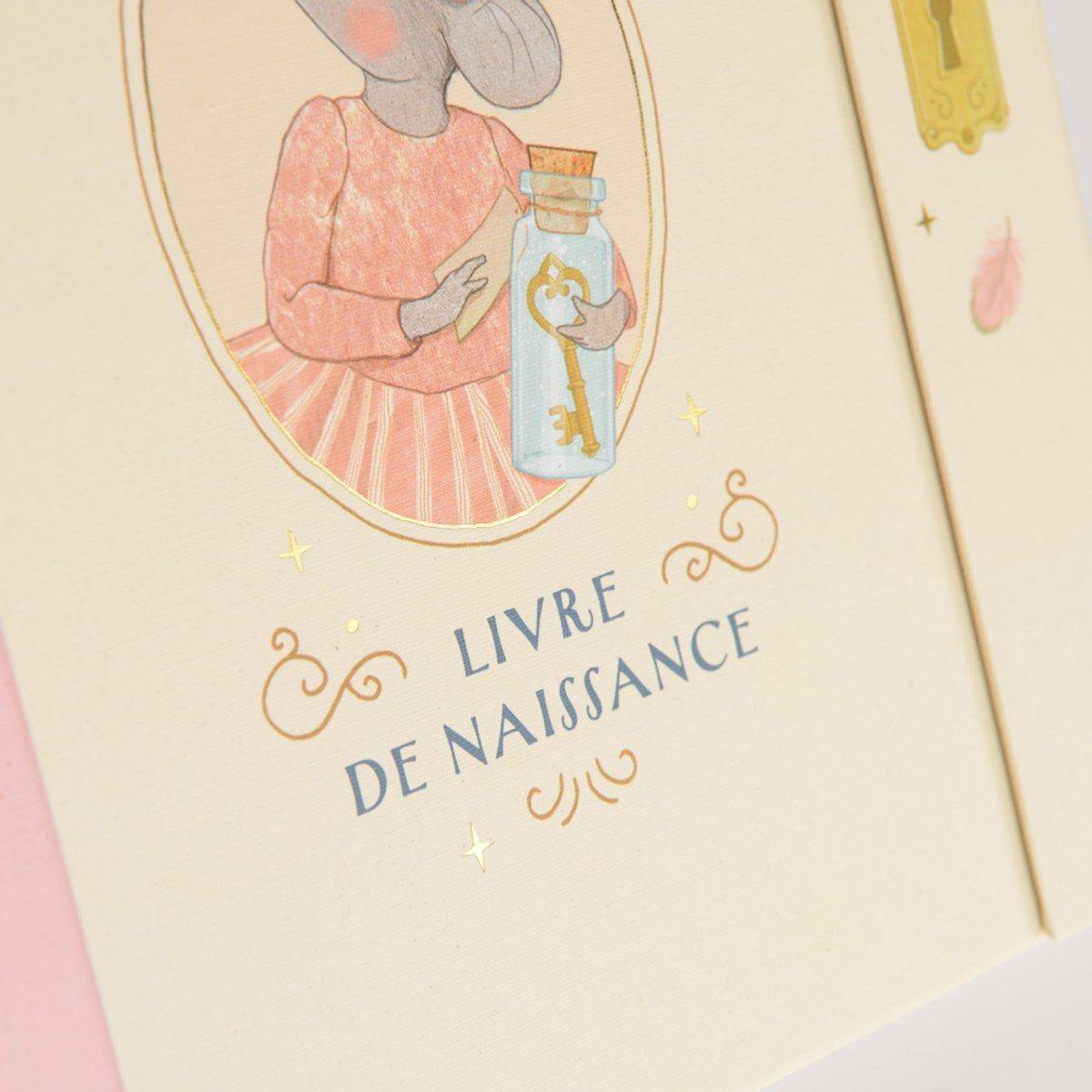 Livre de naissance La petite école de danse