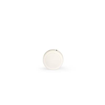 Peluche otarie lumineuse