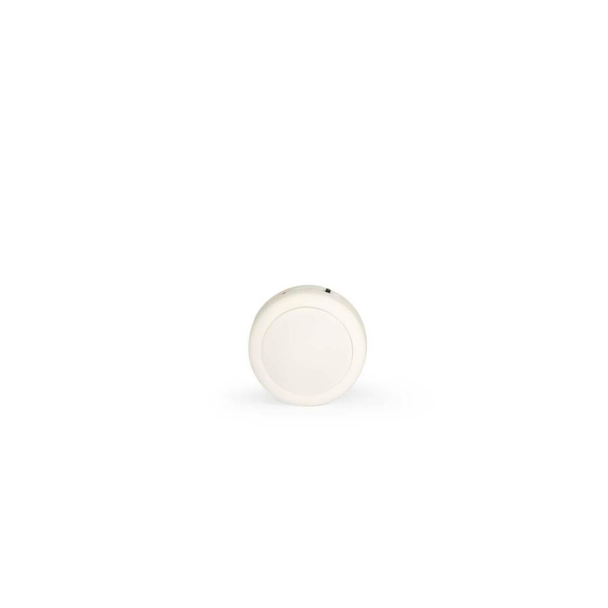 Peluche otarie lumineuse