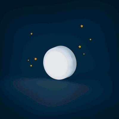 Peluche otarie lumineuse
