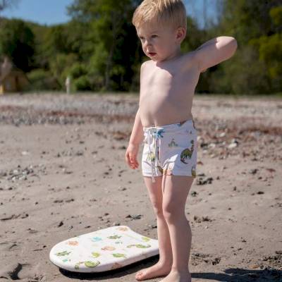 Planche de natation Dino Beach