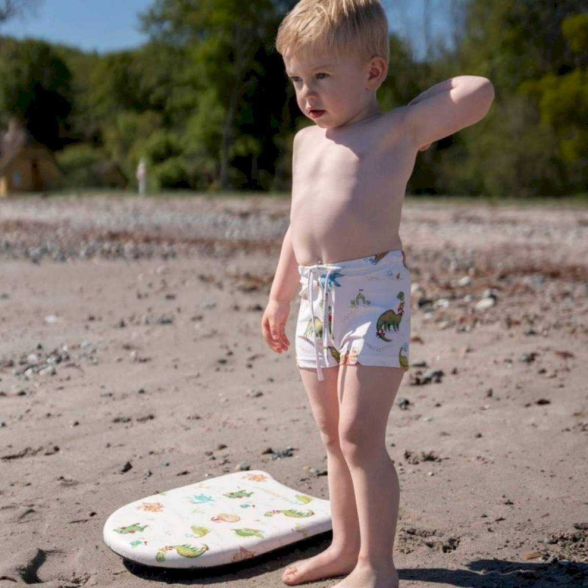Planche de natation Dino Beach